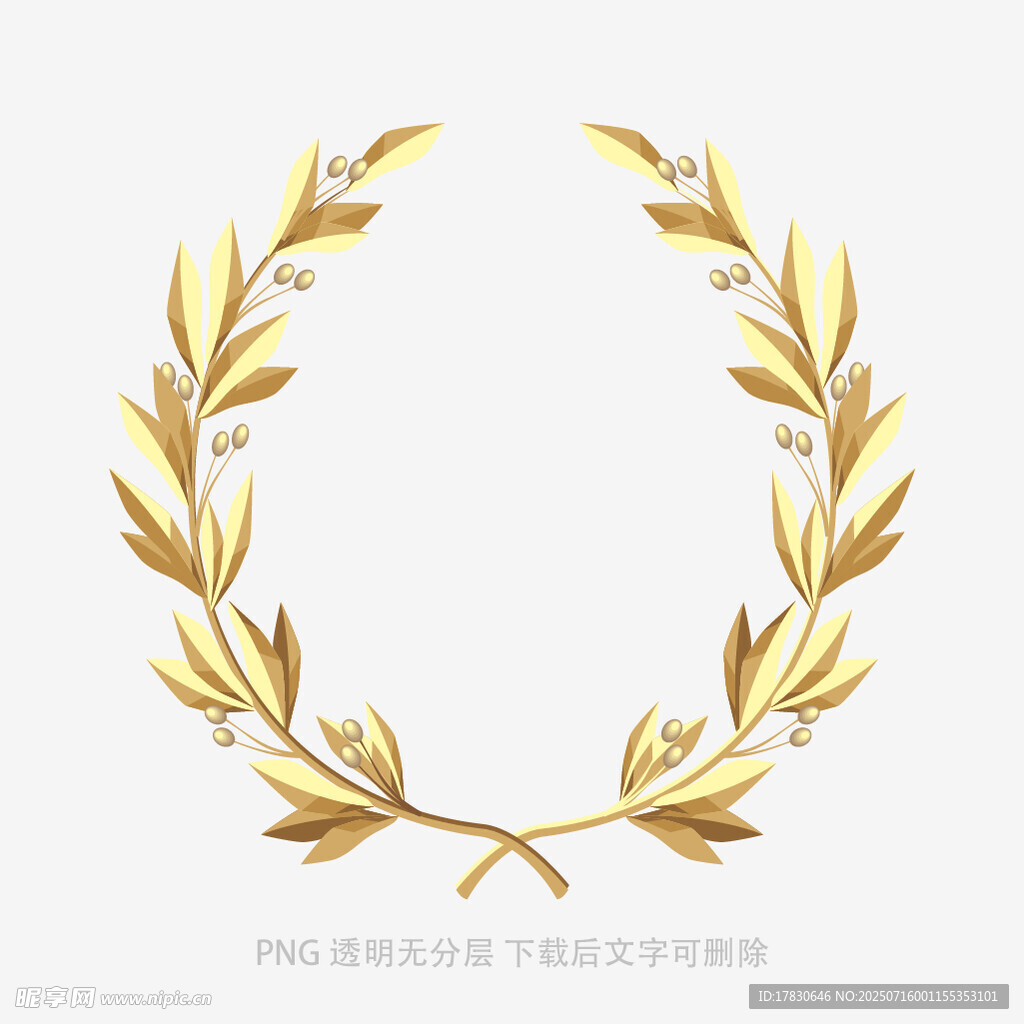 金色橄榄枝花环图案