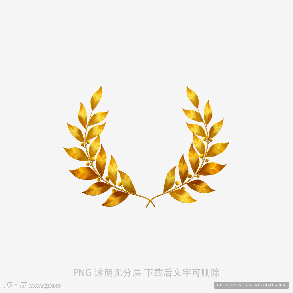 金色麦穗花环图案设计