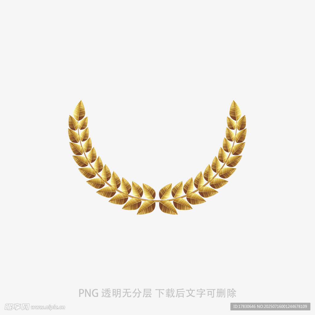 金色麦穗项链设计图