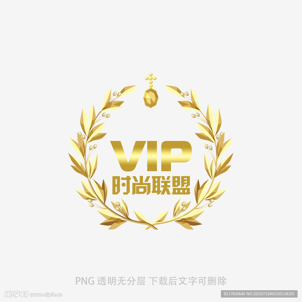 时尚VIP标志设计