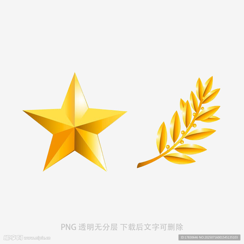 金色五角星与麦穗元素
