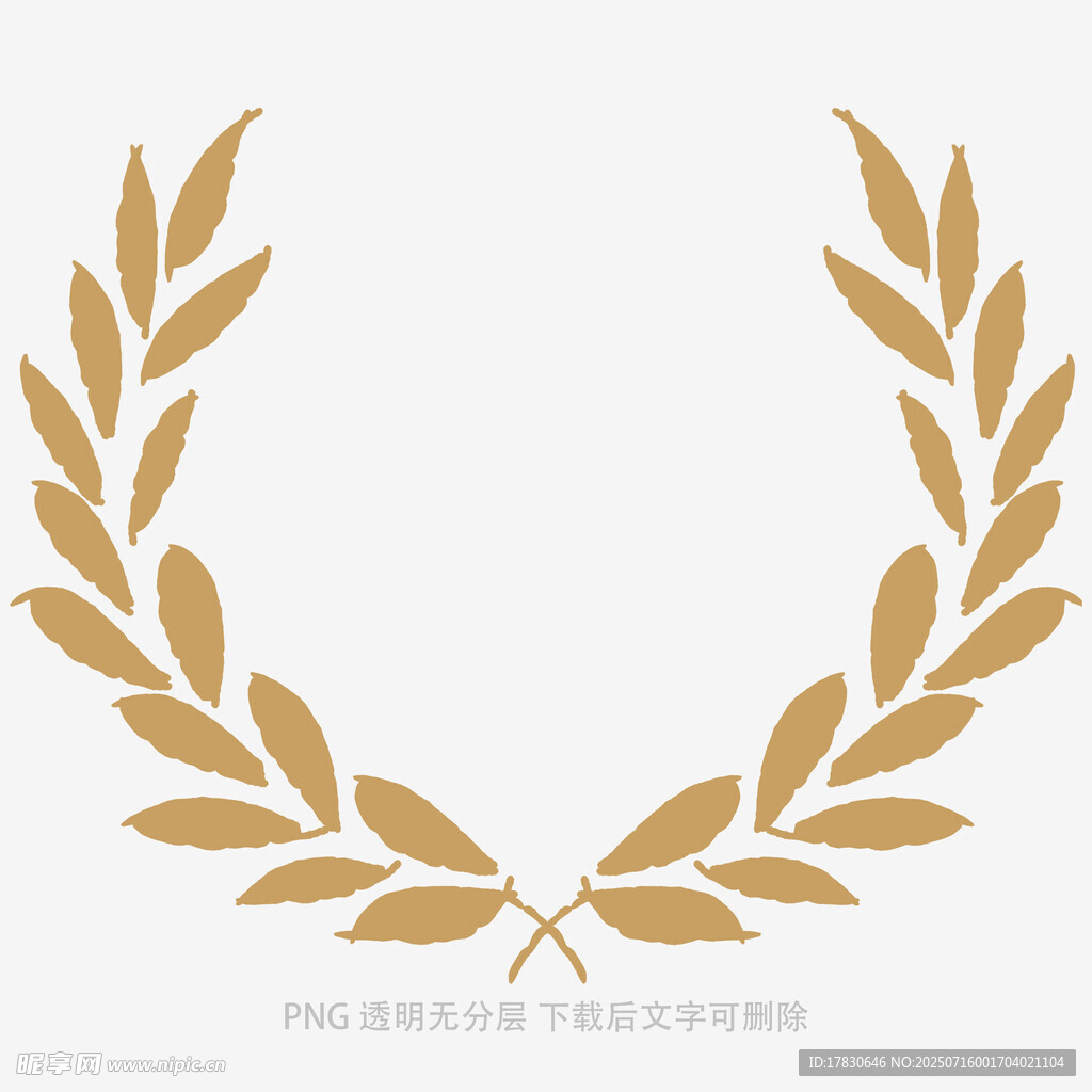 金色橄榄枝花环图案