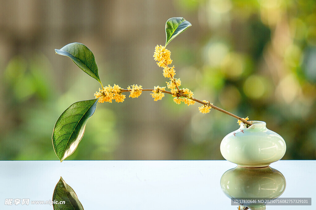 花瓶中绽放的黄色花枝
