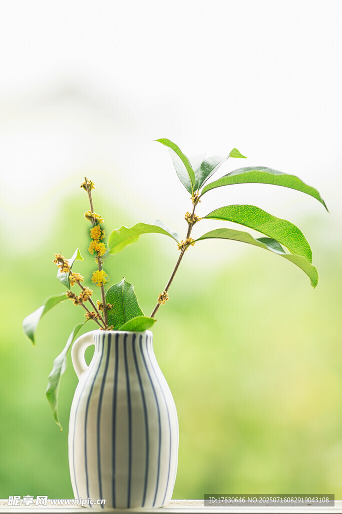 条纹花瓶中的绿植花卉