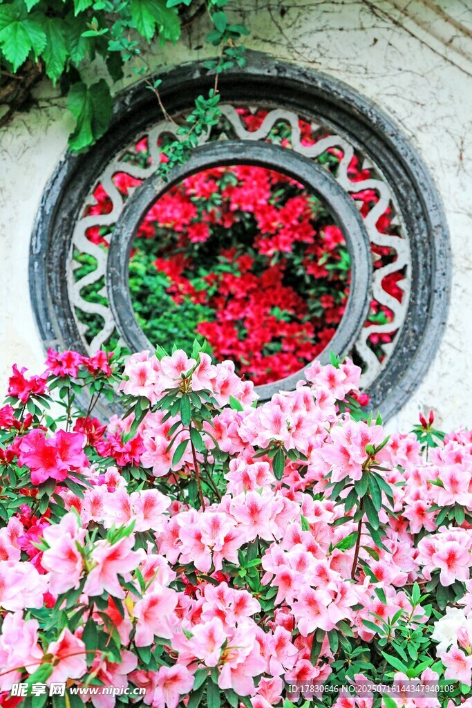 圆形花池中的缤纷花卉