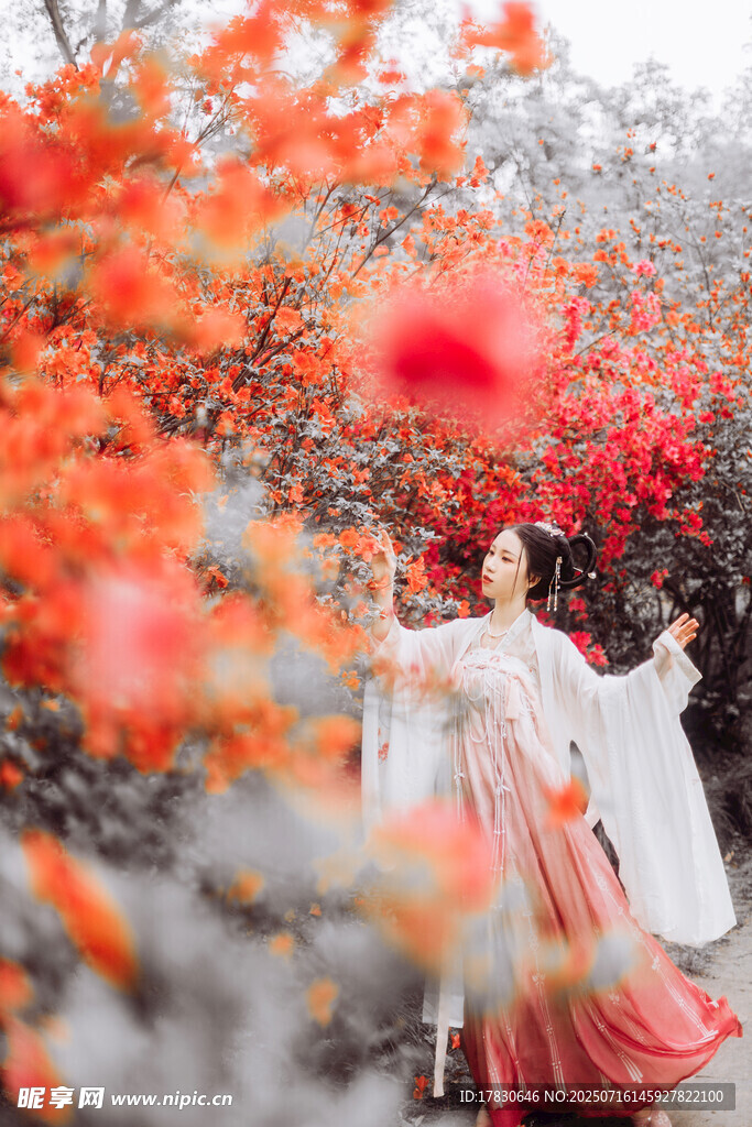 古风佳人于繁花中起舞