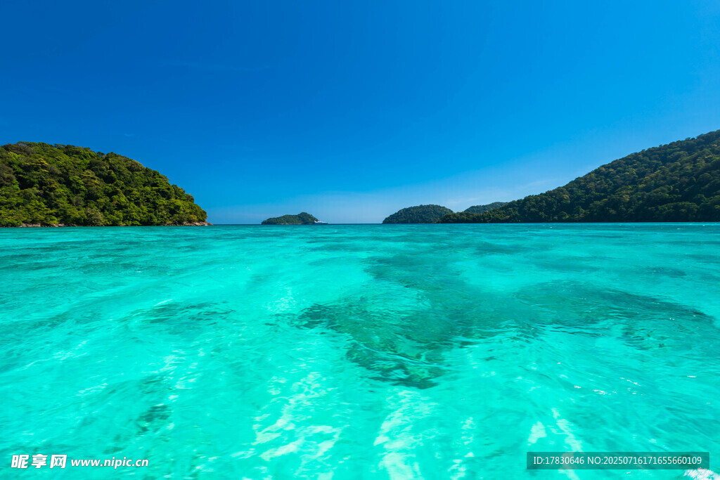 清澈海域中的美丽海底景观