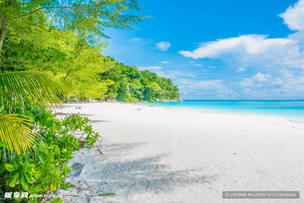 美丽热带海滩风光