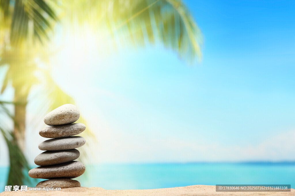海边叠石与椰树的静谧景致