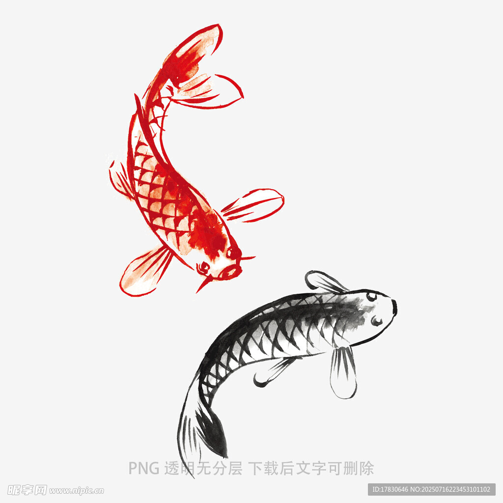 双鲤图