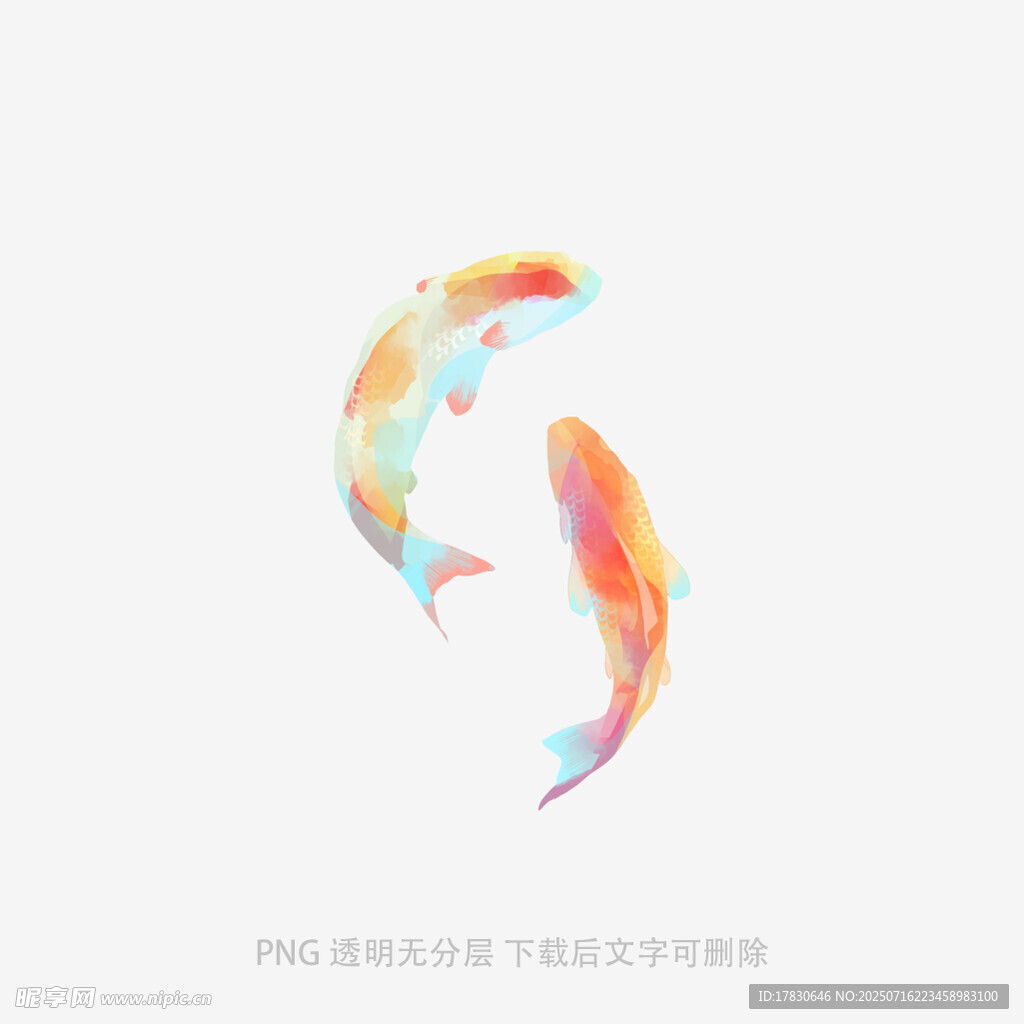梦幻双色锦鲤图案设计