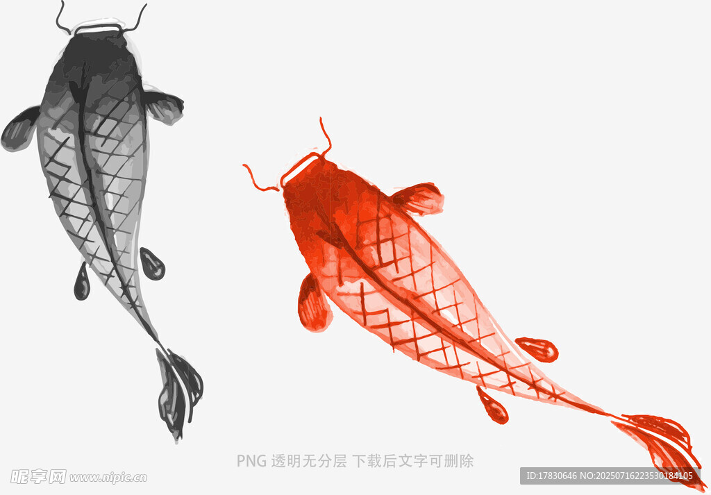 双锦鲤图案设计素材