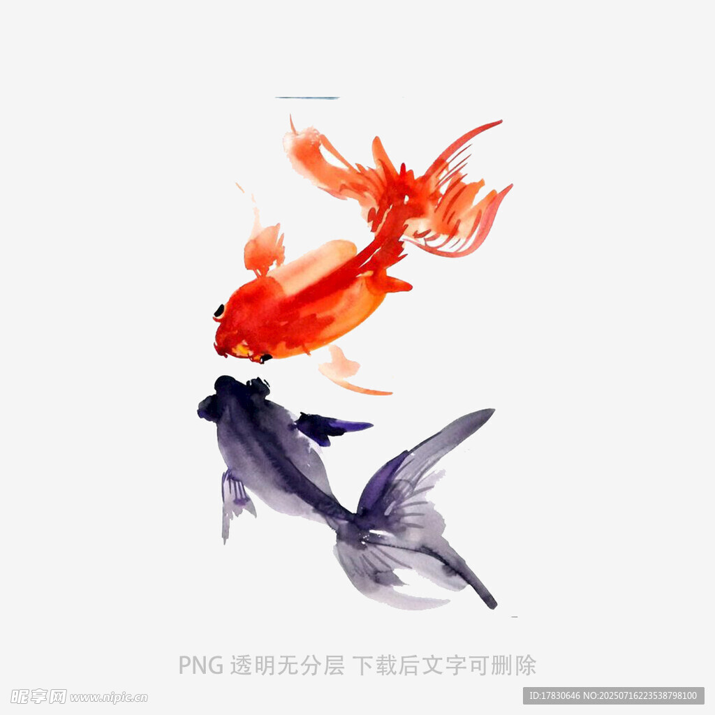 双金鱼水墨风灵动画面