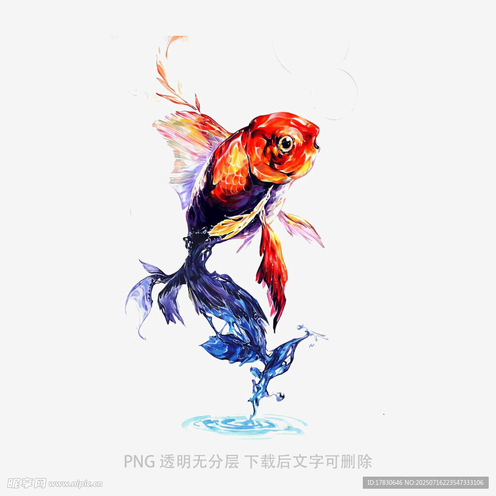 灵动金鱼水彩画