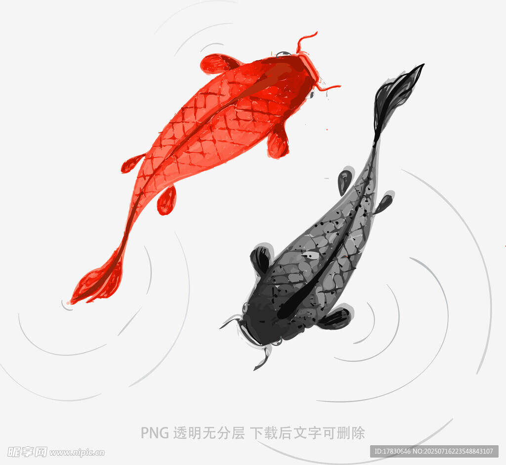 双鲤戏水图