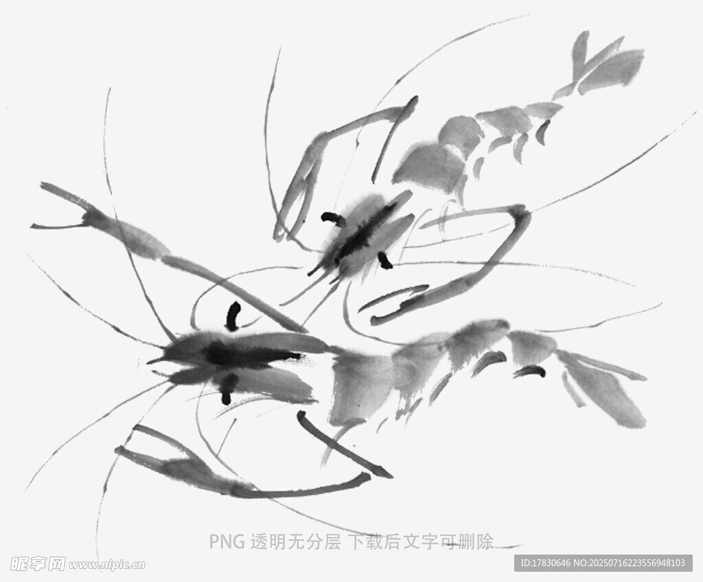 水墨写意虾图