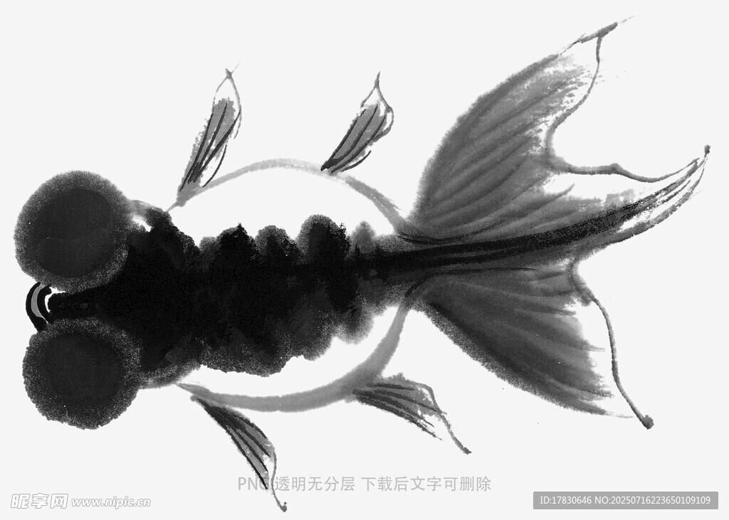水墨风黑金鱼插画