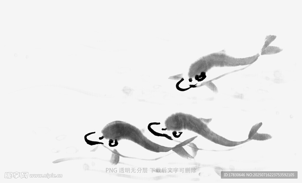三只海豚在水中嬉戏
