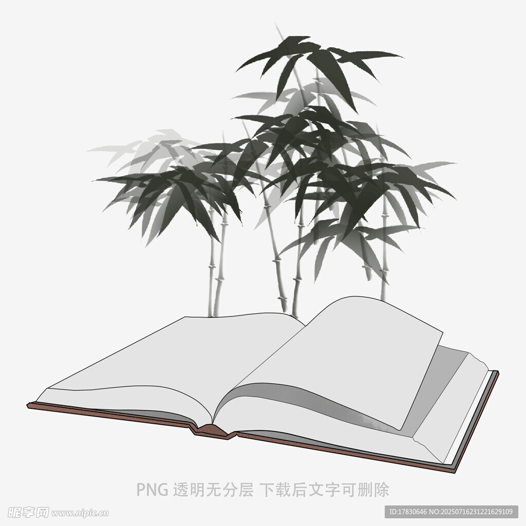 书香墨韵间的翠竹雅致