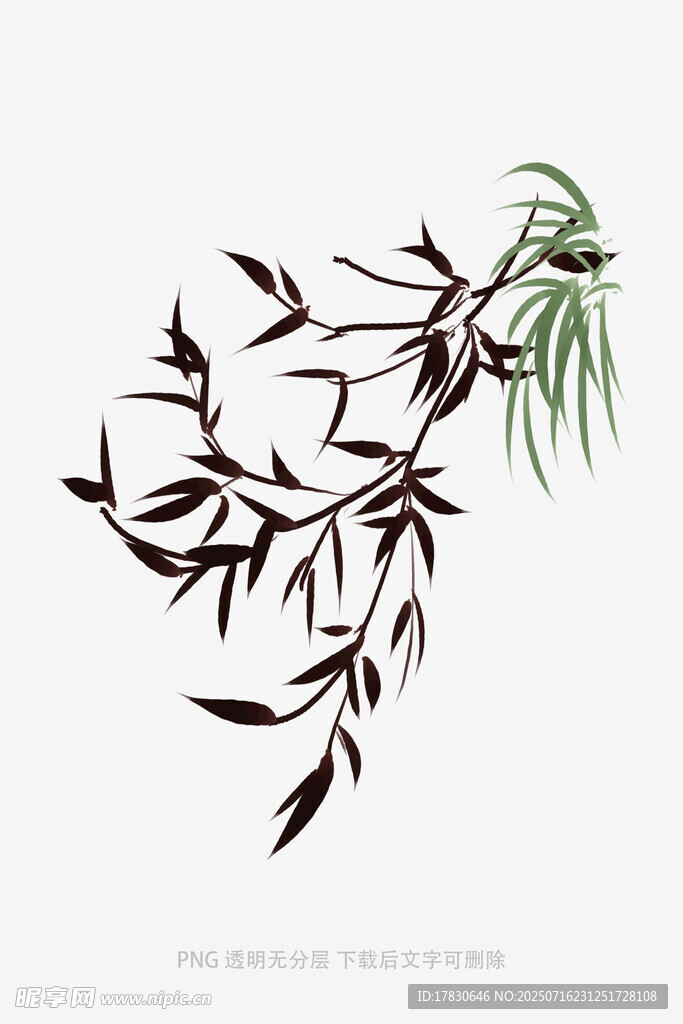 水墨风柳枝插画
