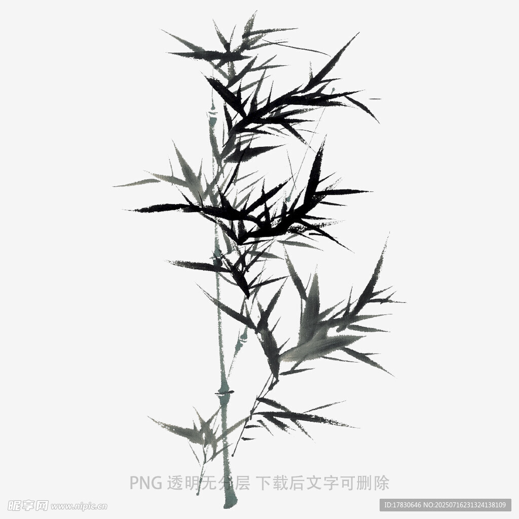 水墨风单枝竹叶图