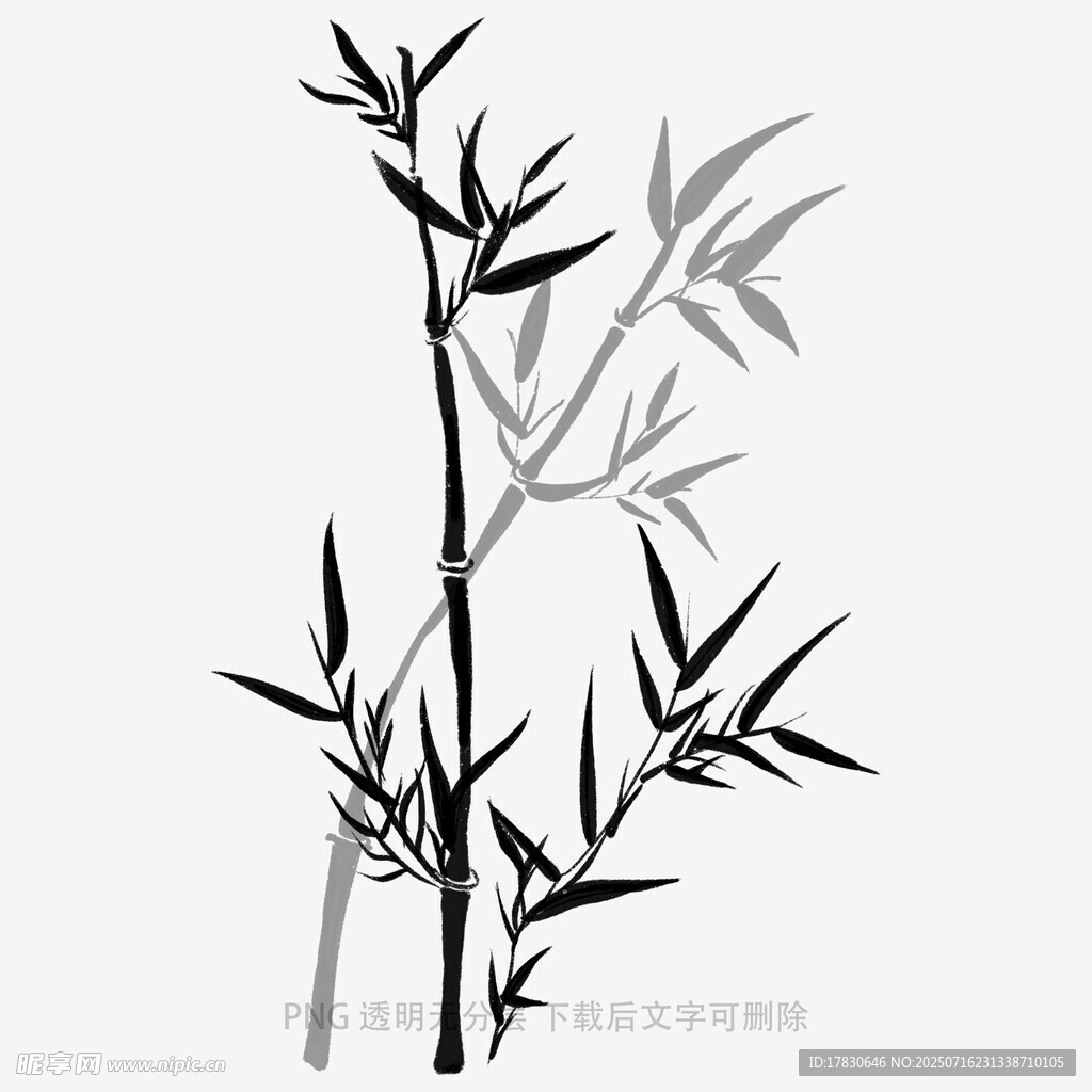 水墨风竹子插画