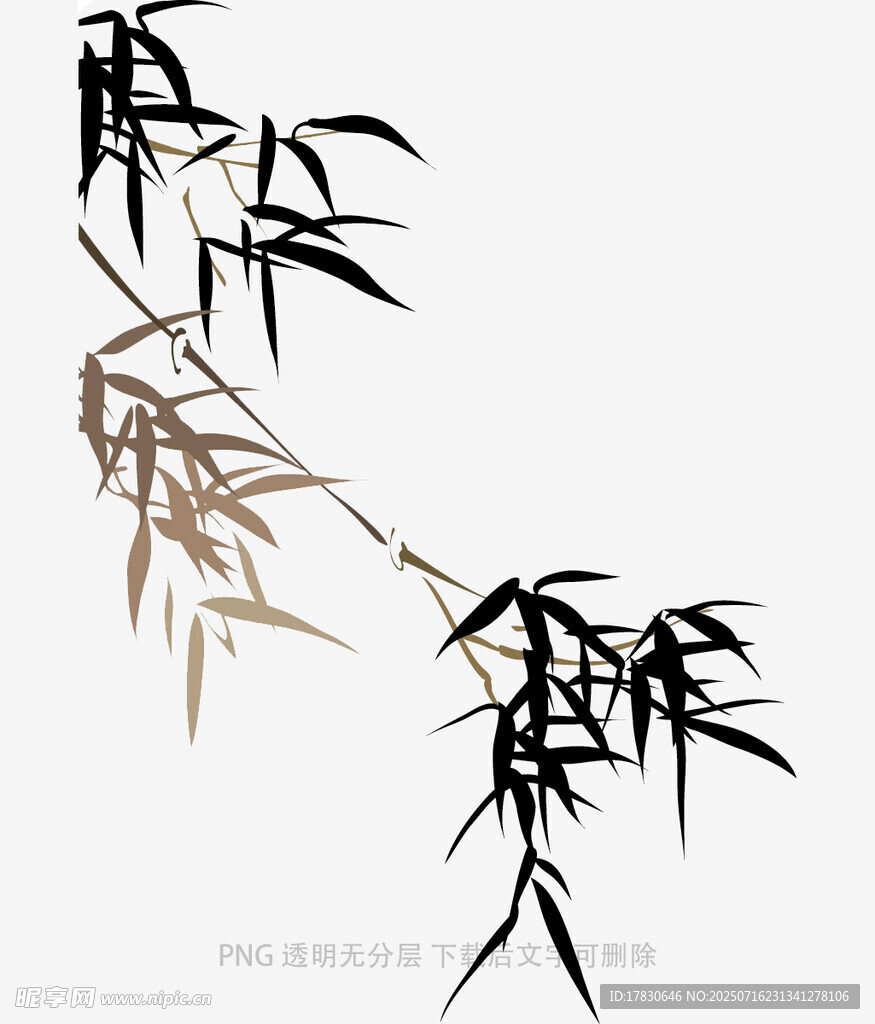水墨风竹叶插画