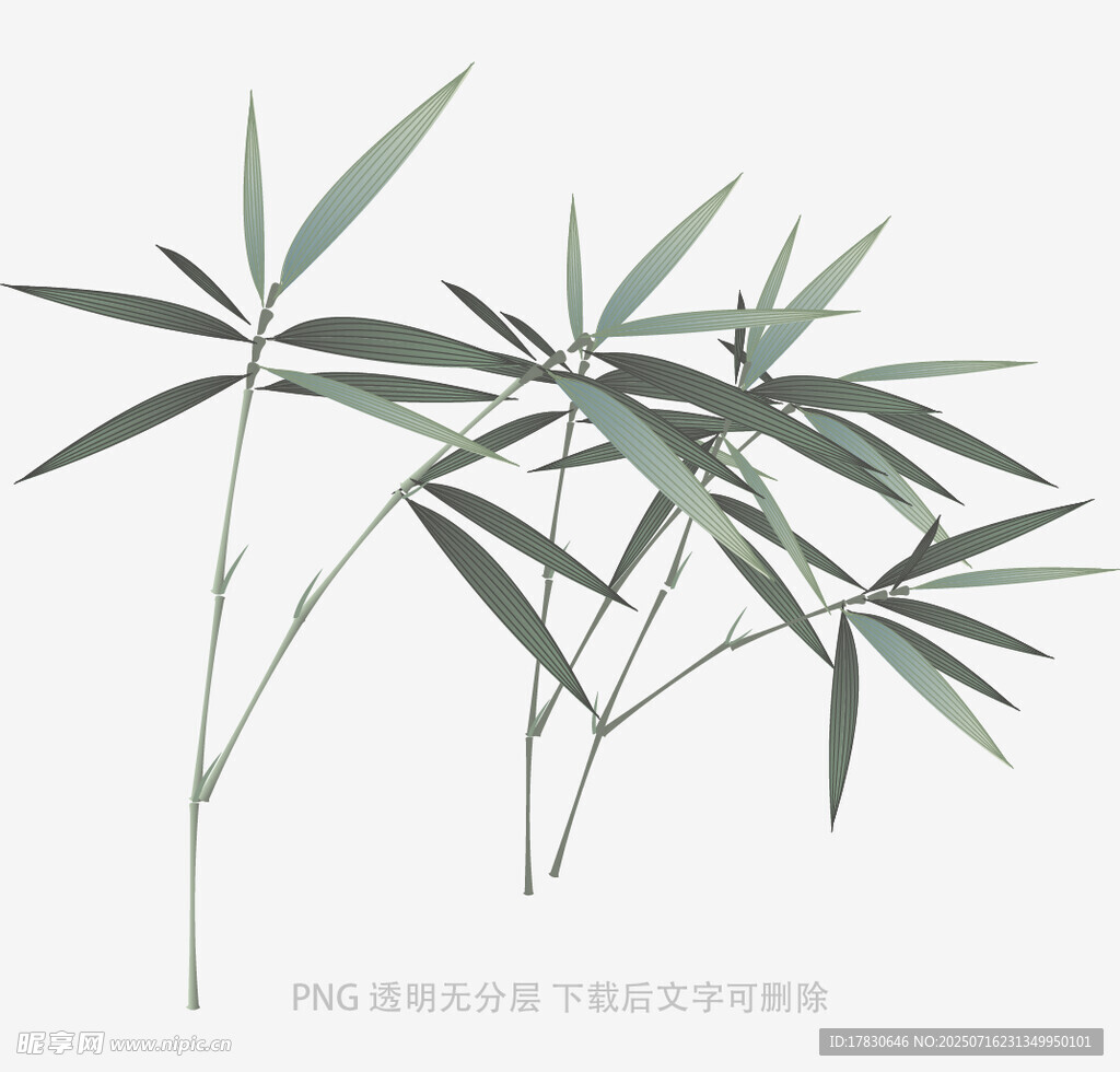 清新竹叶插画
