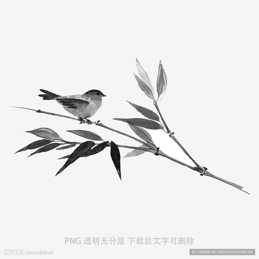 枝头小鸟栖于竹叶间