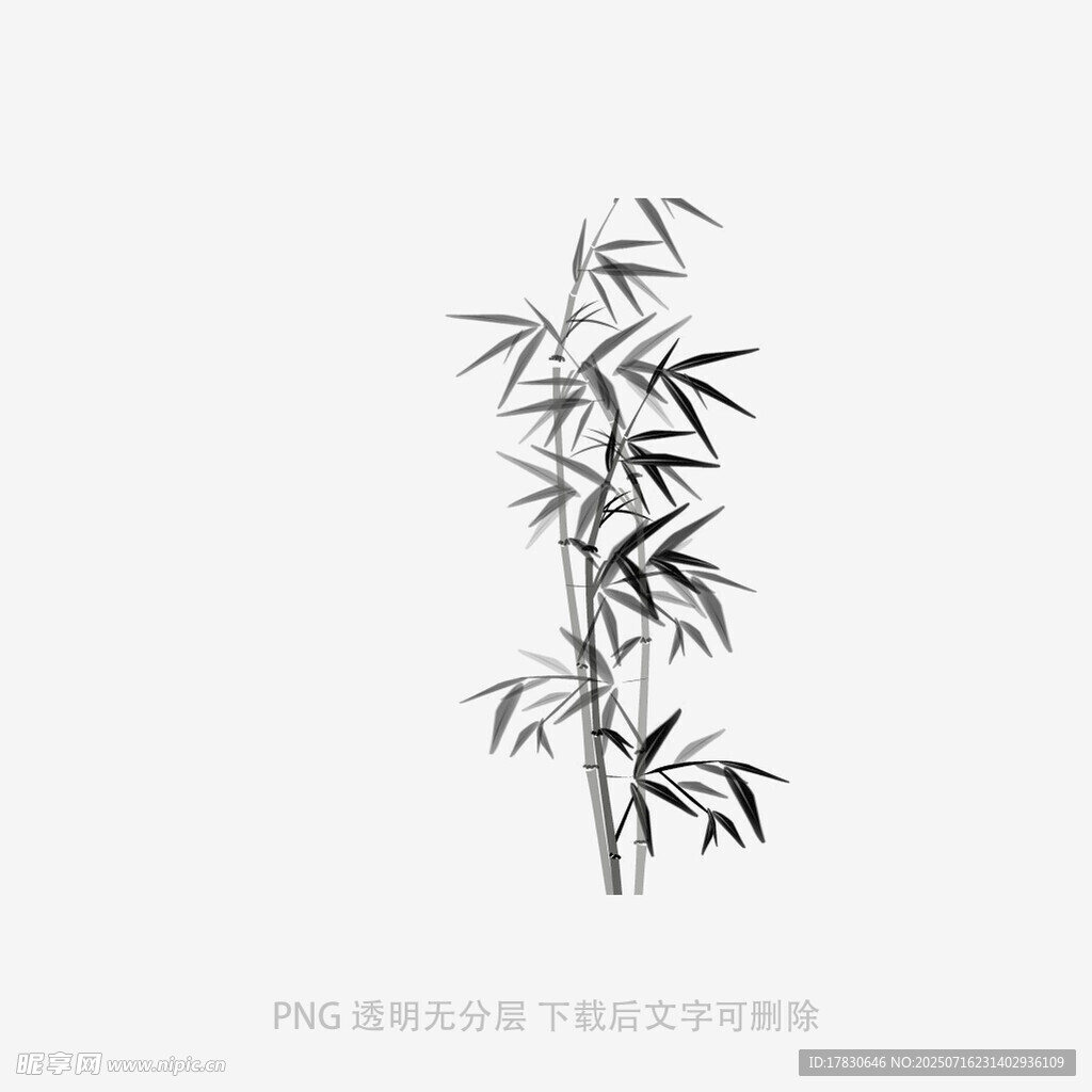 水墨风单株竹子插画