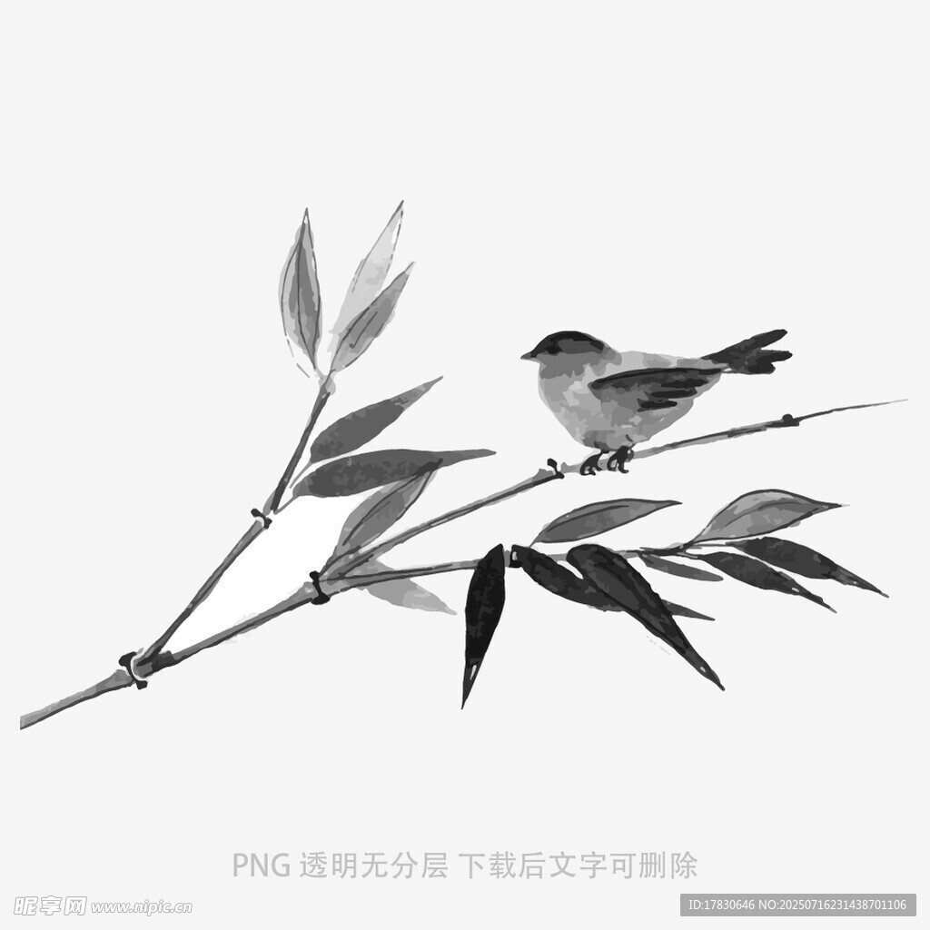 竹枝上的小鸟