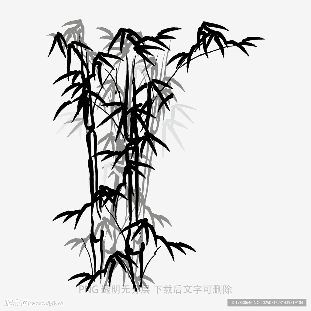 水墨风竹子插画