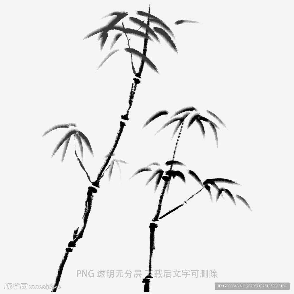 水墨风单枝竹子图