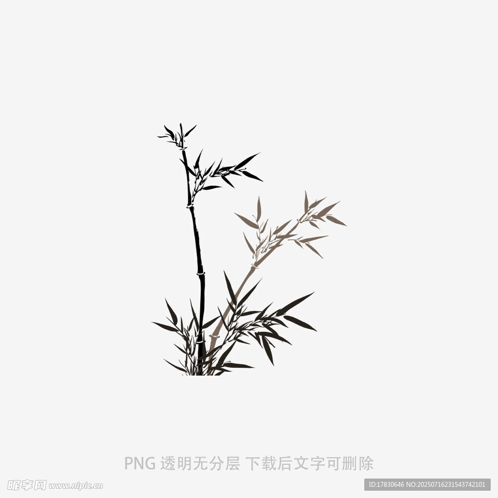 水墨风单枝竹子插画