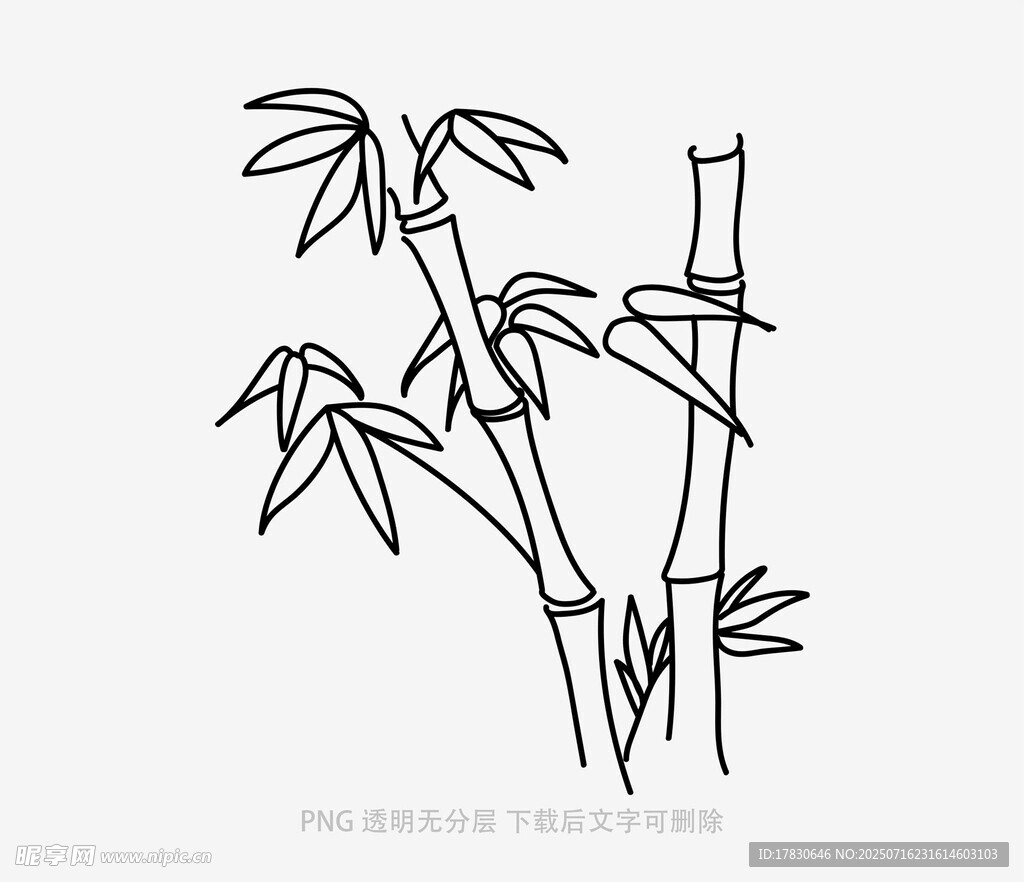 简笔勾勒的挺拔竹子