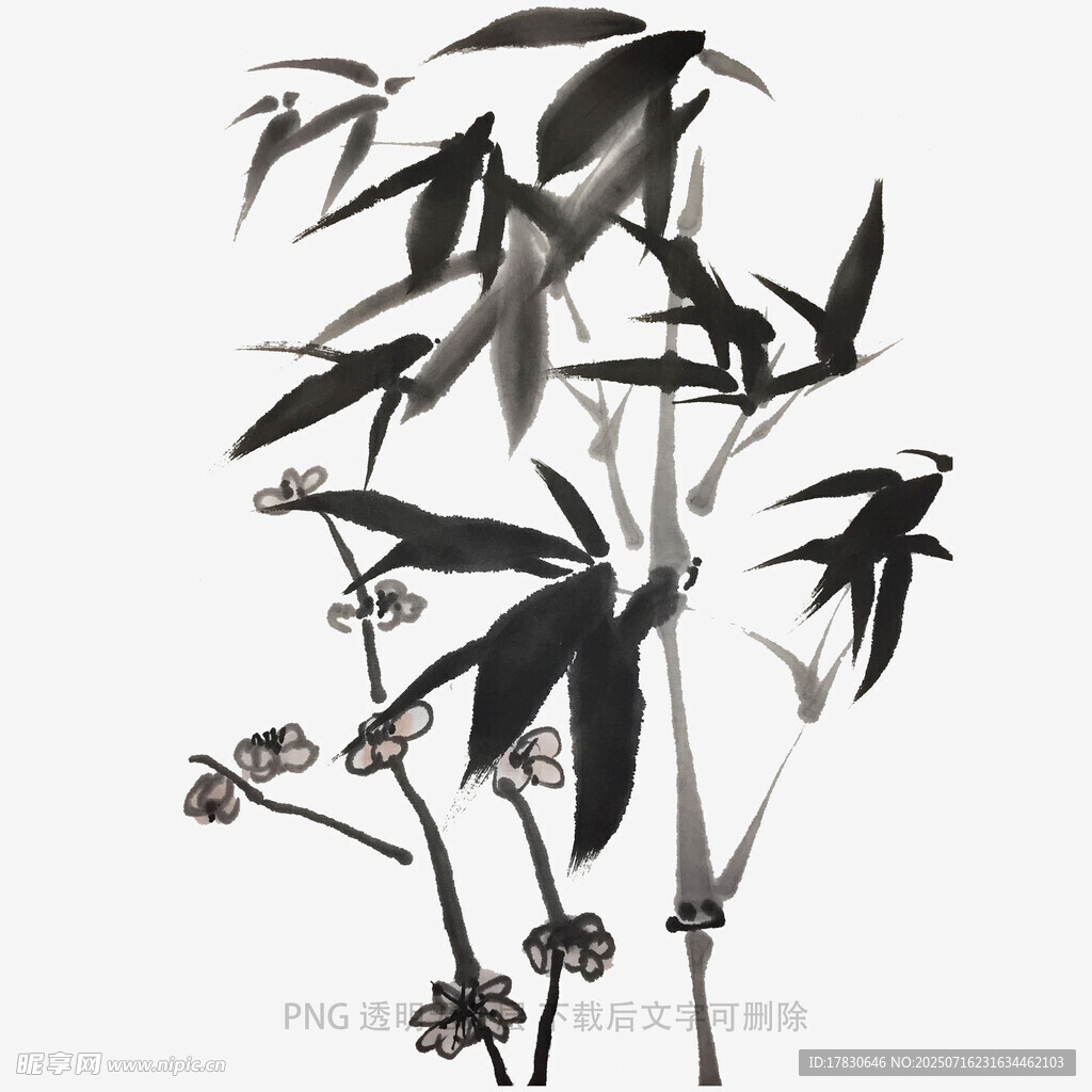 水墨风竹子植物插画