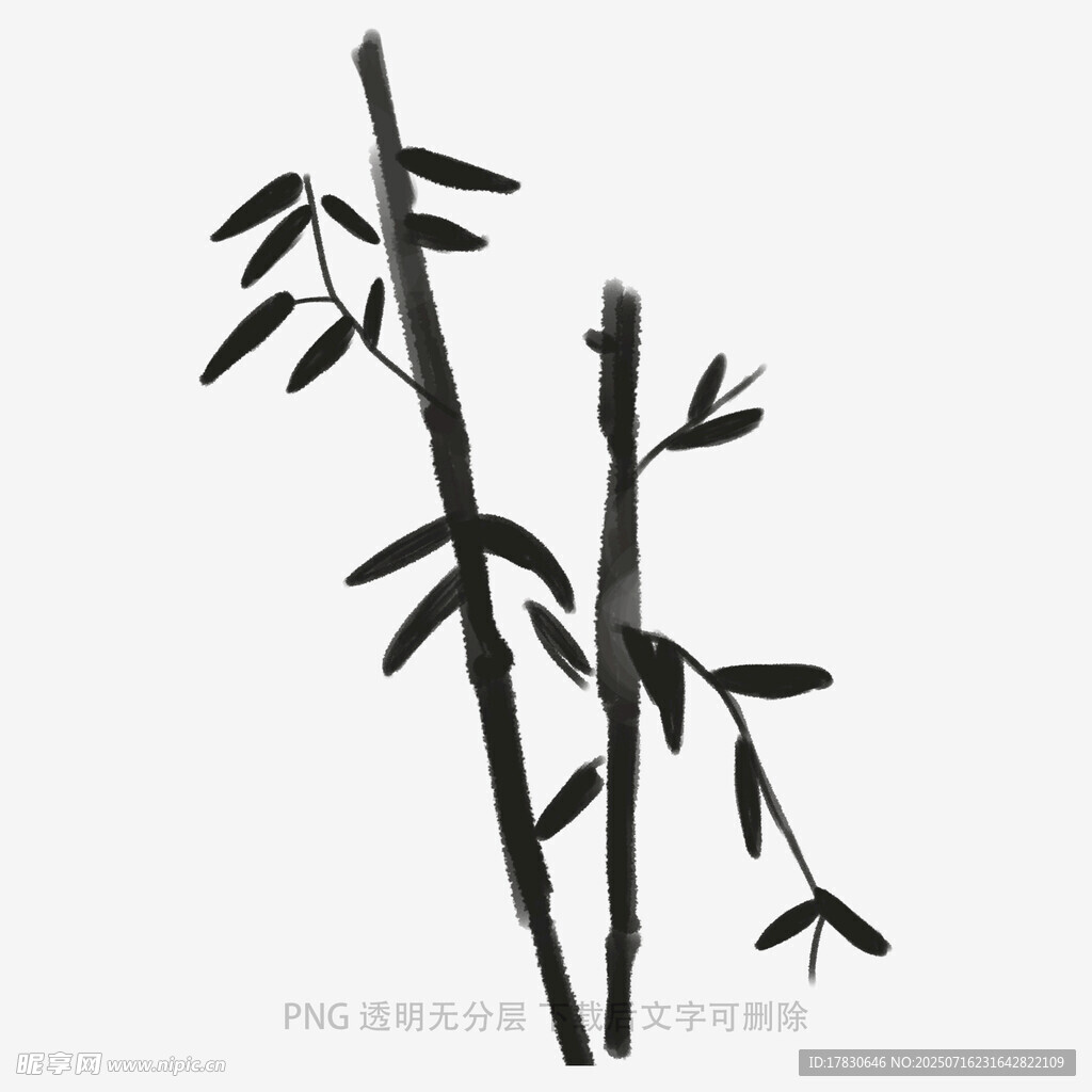 水墨风竹子插画