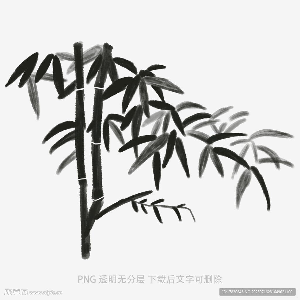 水墨风竹子插画