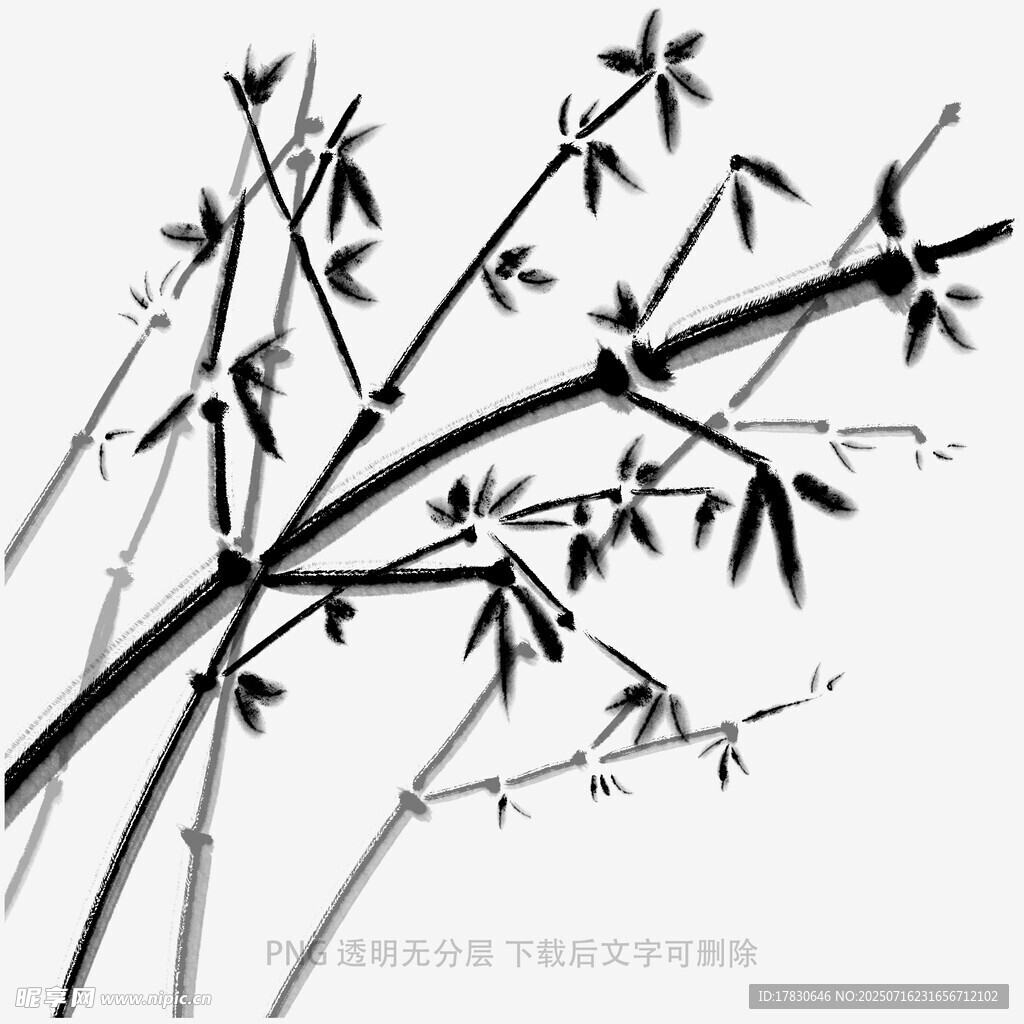 水墨风竹子枝干图