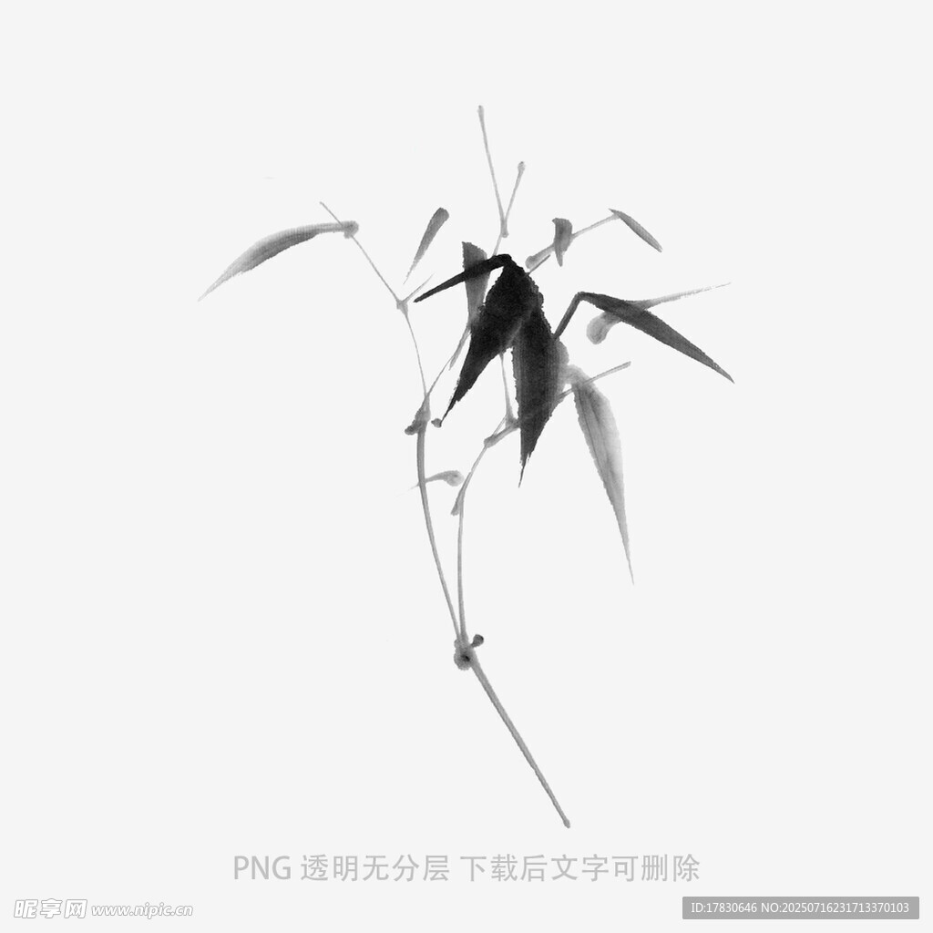 水墨风单枝竹子写意画