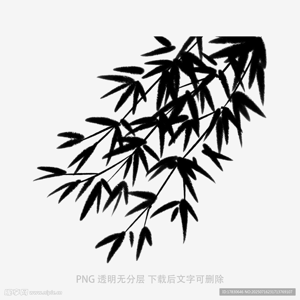 墨竹剪影