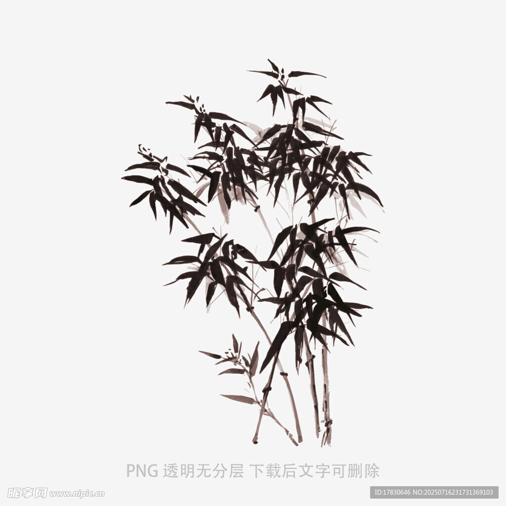水墨风竹子插画