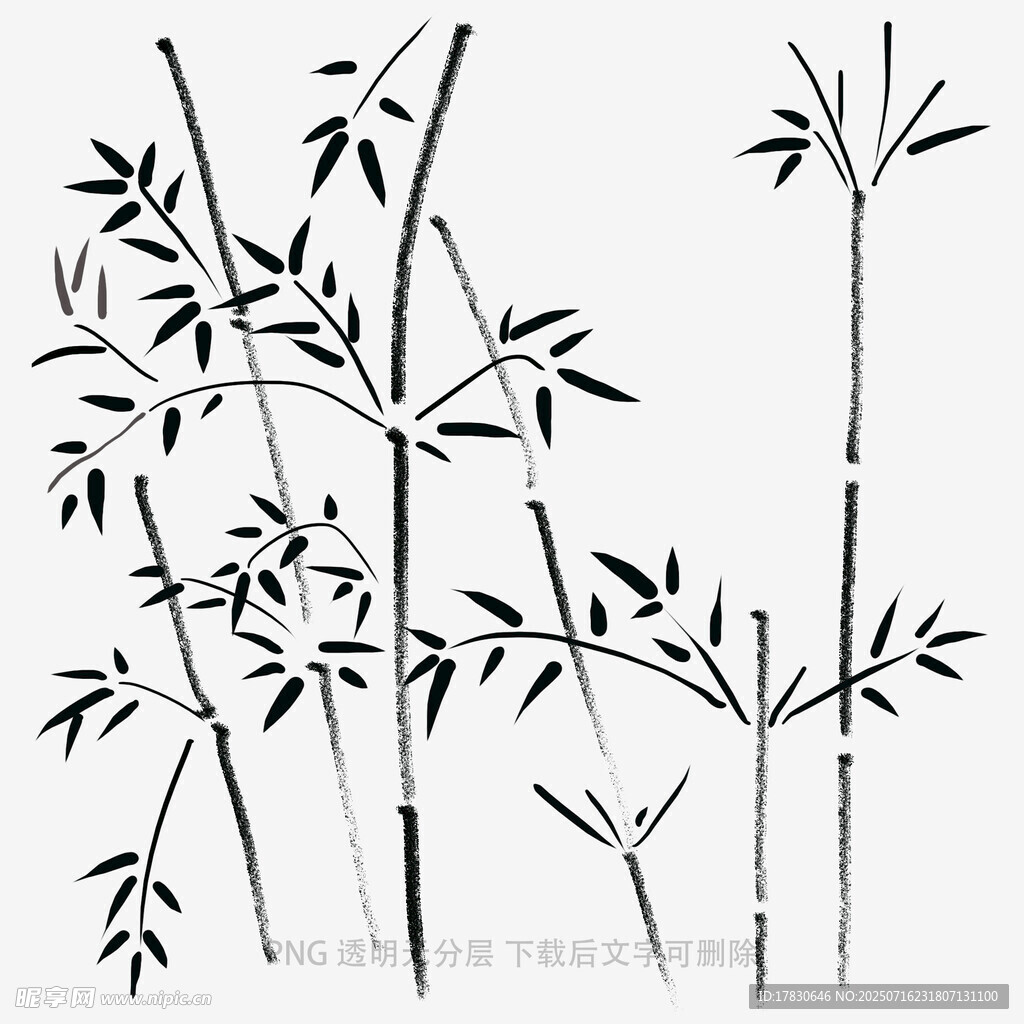 水墨风竹子插画