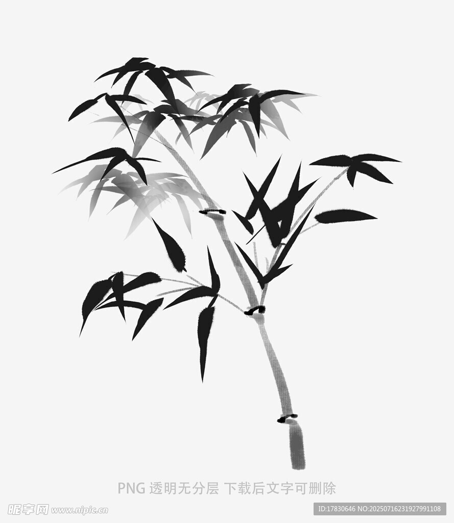 水墨风单枝竹叶图