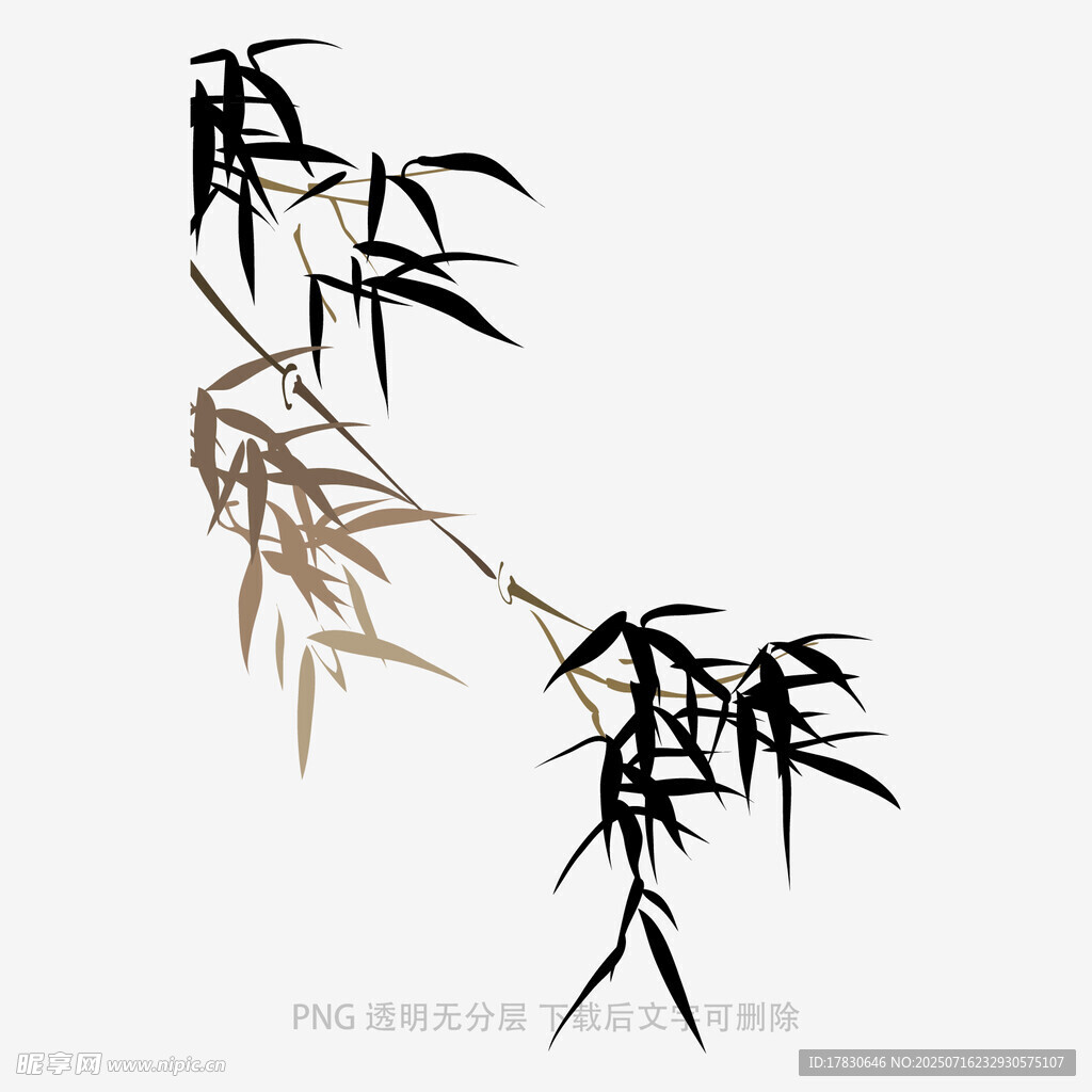 水墨风竹叶插画