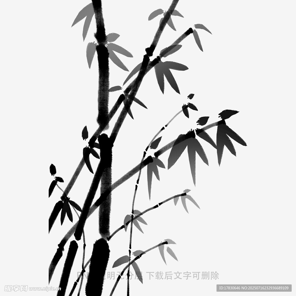水墨风竹子枝干剪影