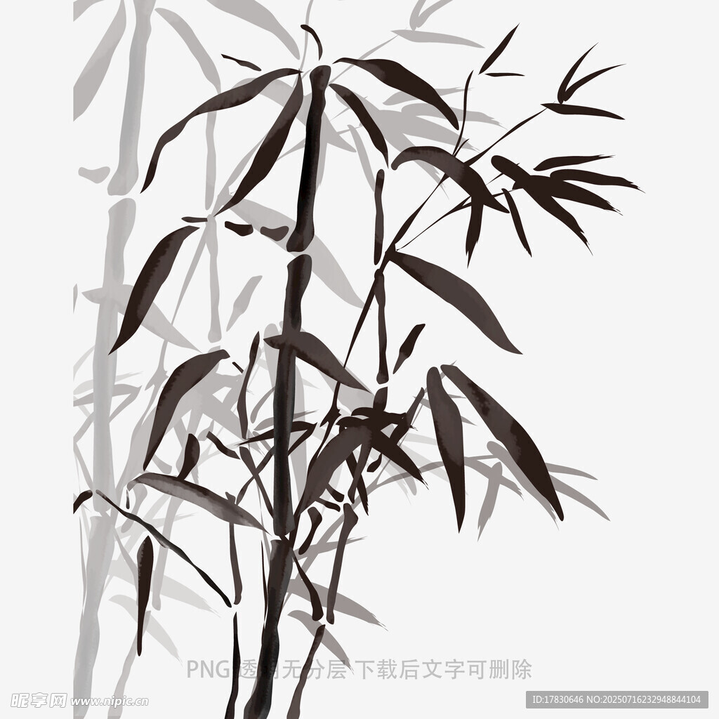 水墨风竹子插画