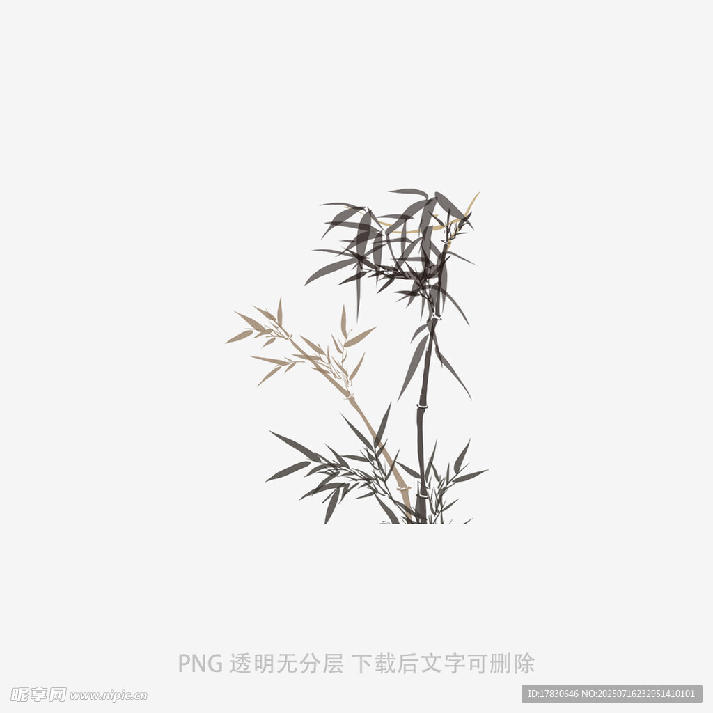 水墨风单株竹子插画