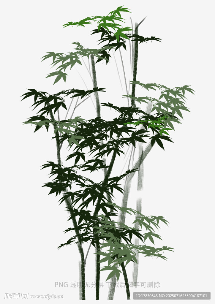 竹林3D模型
