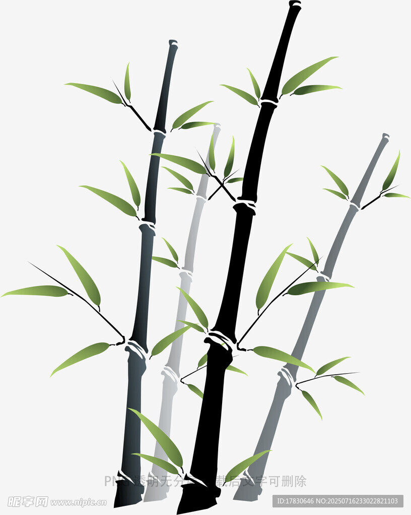 水墨风竹子插画